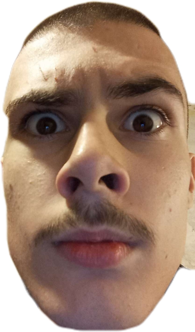Algator37
